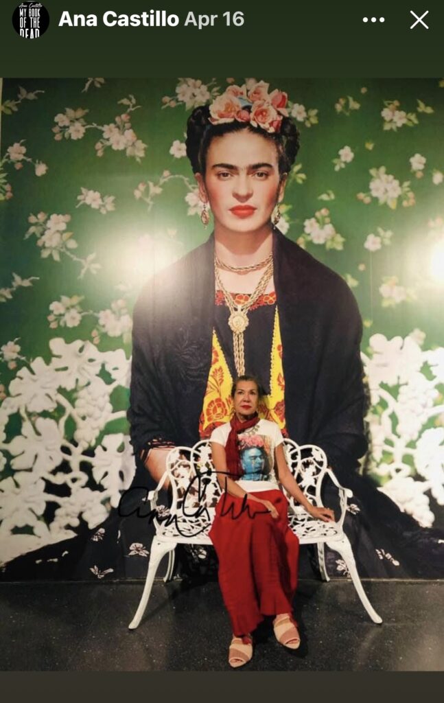 Ana castillo critical essays 02 picture